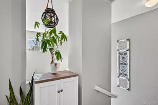 1509 Gold Hill St, Castle Rock, CO 80109 - Photo 26