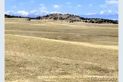 7493 Ranch Road, Hartsel, CO 80449 - Photo 16