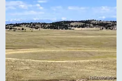 7493 Ranch Road, Hartsel, CO 80449 - Photo 12