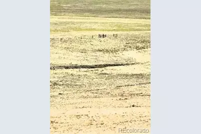 7493 Ranch Road, Hartsel, CO 80449 - Photo 8