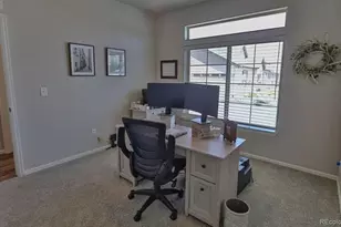 6652 Golden Briar Ln, Colorado Springs, CO 80927 - Photo 28