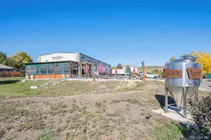 16170 Mt Vernon Rd, Golden, CO 80401 - Photo 38