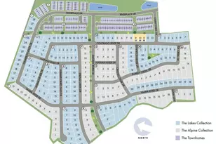 1597 Colorado River Dr, Windsor, CO 80550 - Photo 24