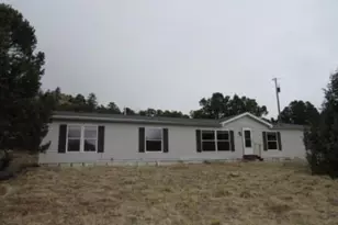 12855 Cr 255, Westcliffe, CO 81252 - Photo 1