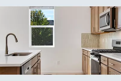 14024 Alpine Phlox Lane, Parker, CO 80134 - Photo 22