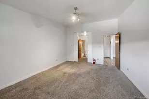 675 S Clinton St, Denver, CO 80247 - Photo 10