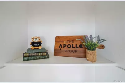 16821 Bitterbrush Lane, Parker, CO 80134 - Photo 8