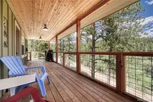 133 Brown St, Bailey, CO 80421 - Photo 28