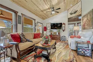 133 Brown St, Bailey, CO 80421 - Photo 12