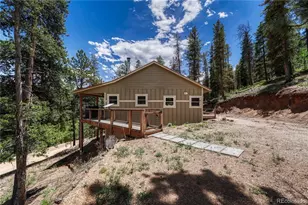 133 Brown St, Bailey, CO 80421 - Photo 4