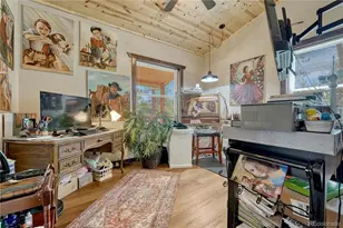 133 Brown St, Bailey, CO 80421 - Photo 16