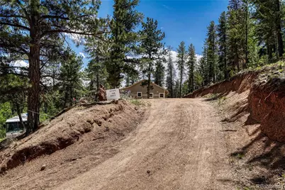 133 Brown Street, Bailey, CO 80421 - Photo 32