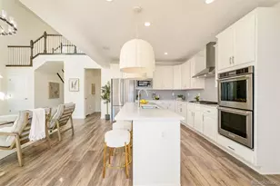 98 Simmental Loop, Castle Rock, CO 80104 - Photo 10