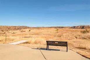 98 Simmental Loop, Castle Rock, CO 80104 - Photo 42