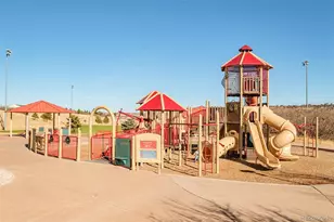 98 Simmental Loop, Castle Rock, CO 80104 - Photo 46