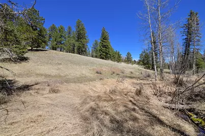 112 Blue Jay Lane, Florissant, CO 80816 - Photo 10