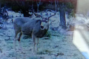 2805 County Rd 634, Gardner, CO 81040 - Photo 10