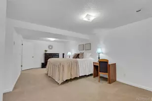 4320 Genoa St, Denver, CO 80249 - Photo 44