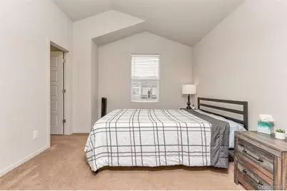 4637 Crestone Peak Street, Brighton, CO 80601 - Photo 12