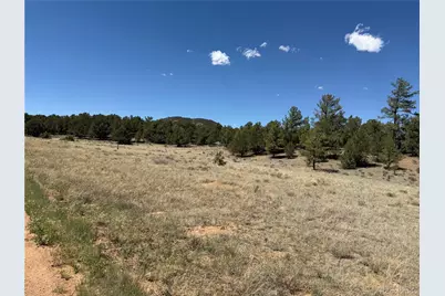 520 W View Road, Cotopaxi, CO 81223 - Photo 8