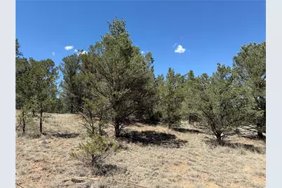 520 W View Road, Cotopaxi, CO 81223 - Photo 12