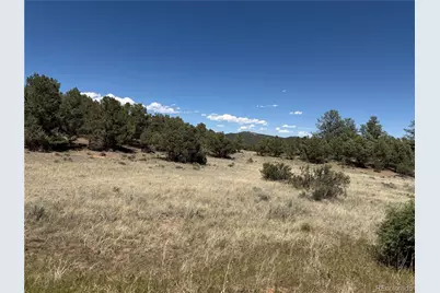 520 W View Road, Cotopaxi, CO 81223 - Photo 6