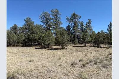 520 W View Road, Cotopaxi, CO 81223 - Photo 18