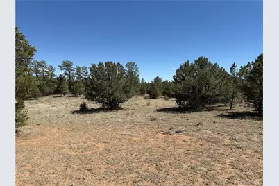 520 W View Road, Cotopaxi, CO 81223 - Photo 26