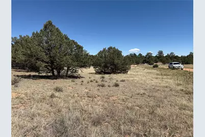 520 W View Road, Cotopaxi, CO 81223 - Photo 2