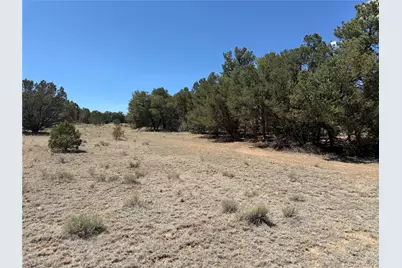 520 W View Road, Cotopaxi, CO 81223 - Photo 22
