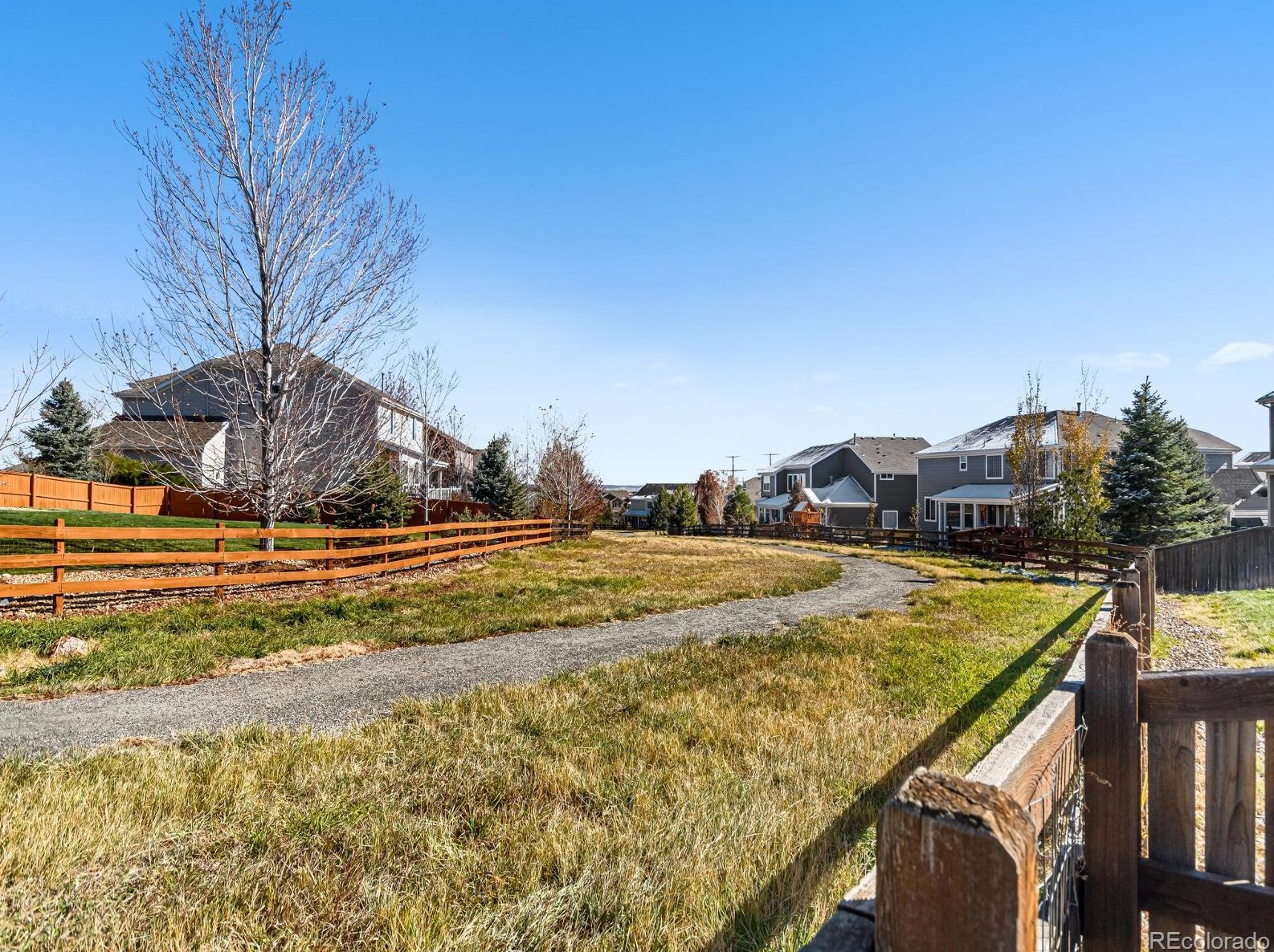 567 Kryptonite Dr, Castle Rock CO  80108-3079 exterior
