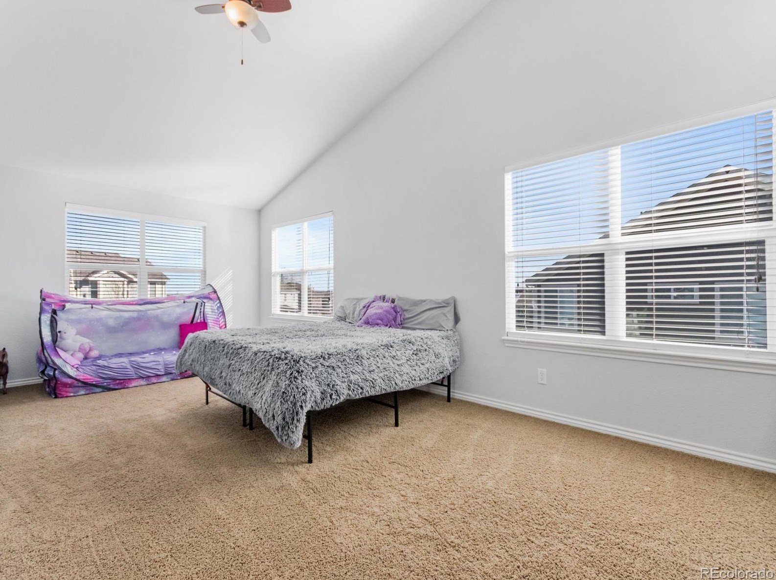 567 Kryptonite Dr, Castle Rock CO  80108-3079 exterior
