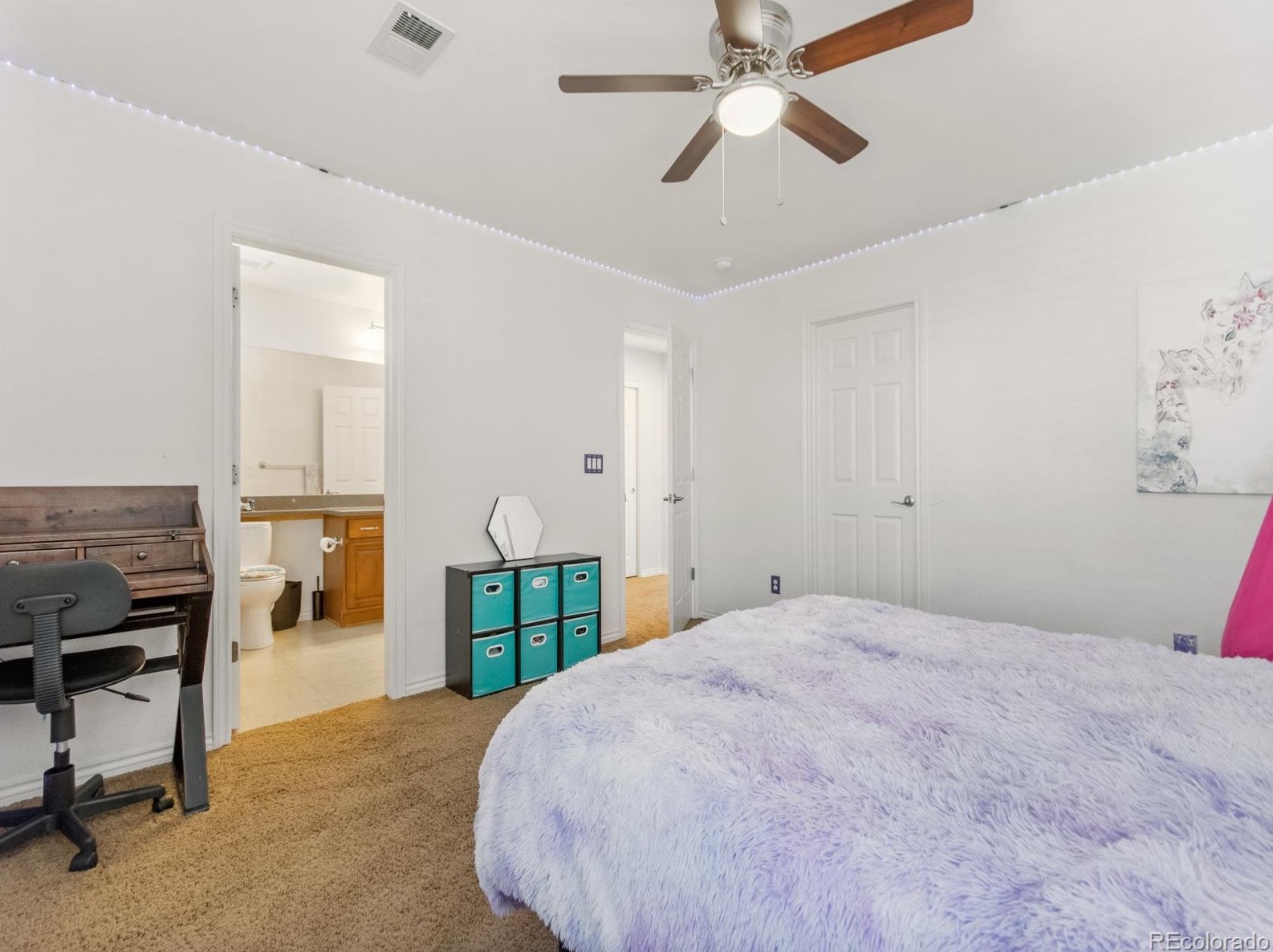 567 Kryptonite Dr, Castle Rock CO  80108-3079 exterior