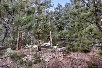 Timber Ridge Road, Evergreen, CO 80439 - Photo 18