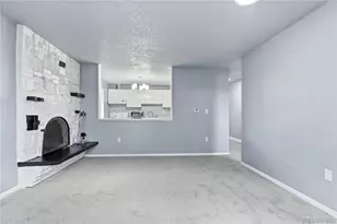 1008 N Corona Street, Denver, CO 80218 - Photo 10