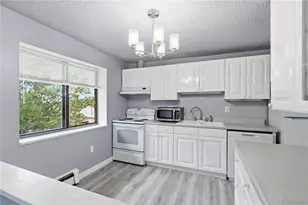 1008 N Corona Street, Denver, CO 80218 - Photo 4