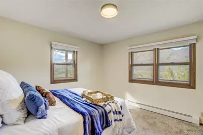 9610 Mohawk Trail, Cascade, CO 80809 - Photo 12