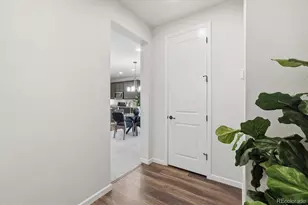8726 Middle Frk St, Littleton, CO 80125 - Photo 16