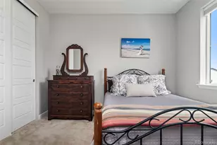 6749 Mentha Dr, Castle Rock, CO 80108 - Photo 32