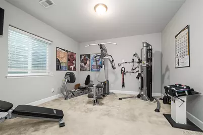 6749 Mentha Drive, Castle Rock, CO 80108 - Photo 46