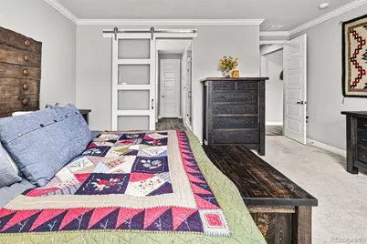 6749 Mentha Drive, Castle Rock, CO 80108 - Photo 24