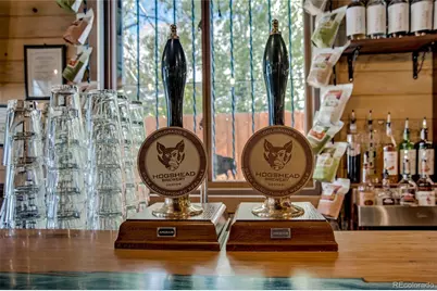 519 Main Street, Fairplay, CO 80440 - Photo 36