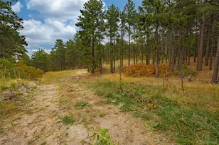 14420 S Perry Park Rd, Larkspur, CO 80118 - Photo 1