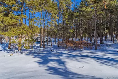 14420 S Perry Park Road, Larkspur, CO 80118 - Photo 28