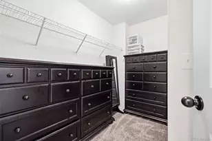 1992 Thundercloud Dr, Windsor, CO 80550 - Photo 22