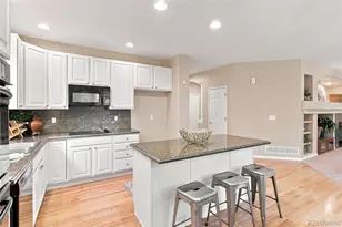3594 Craftsbury Dr, Highlands Ranch, CO 80126 - Photo 14