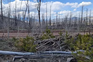 Lot 1882, Fort Garland, CO 81133 - Photo 1