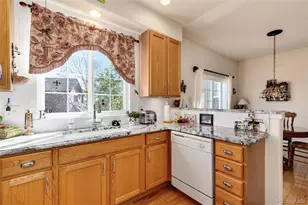 6809 S Webster St, Littleton, CO 80128 - Photo 16