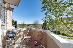 6809 S Webster St, Littleton, CO 80128 - Photo 30