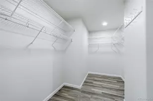935 Crenshaw St, Castle Rock, CO 80104 - Photo 24